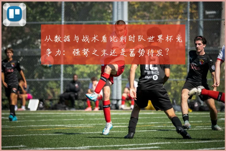 从数据与战术看比利时队世界杯竞争力：强弩之末还是蓄势待发？