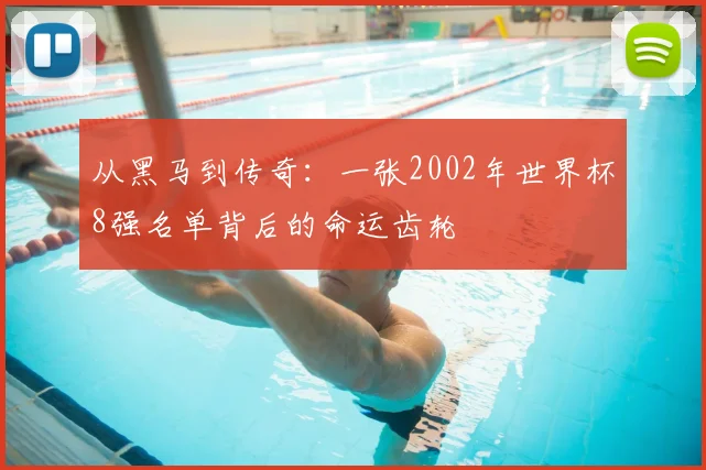 从黑马到传奇：一张2002年世界杯8强名单背后的命运齿轮