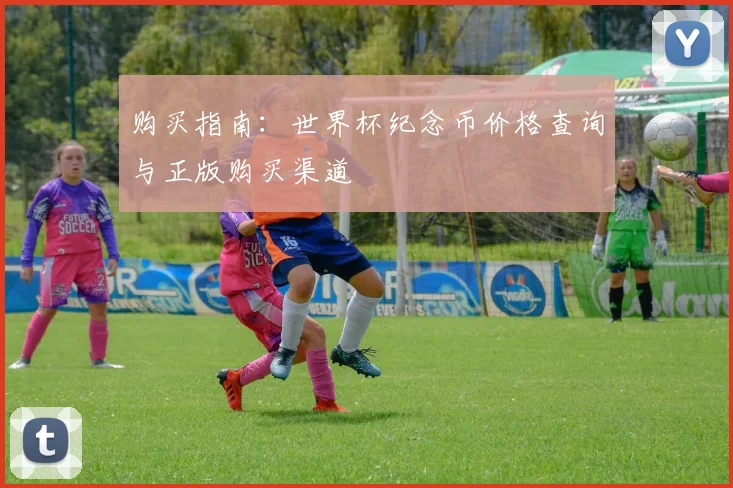 购买指南：世界杯纪念币价格查询与正版购买渠道