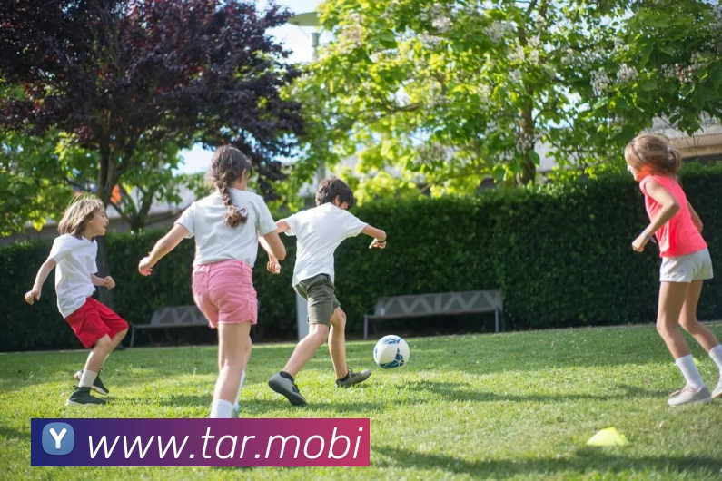 开云在线官网登录入口服务体系